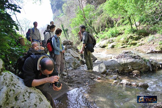 sulla riva del torrente.JPG